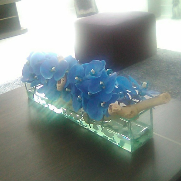 Meet your Posher, Ana - Picture 1 of 1